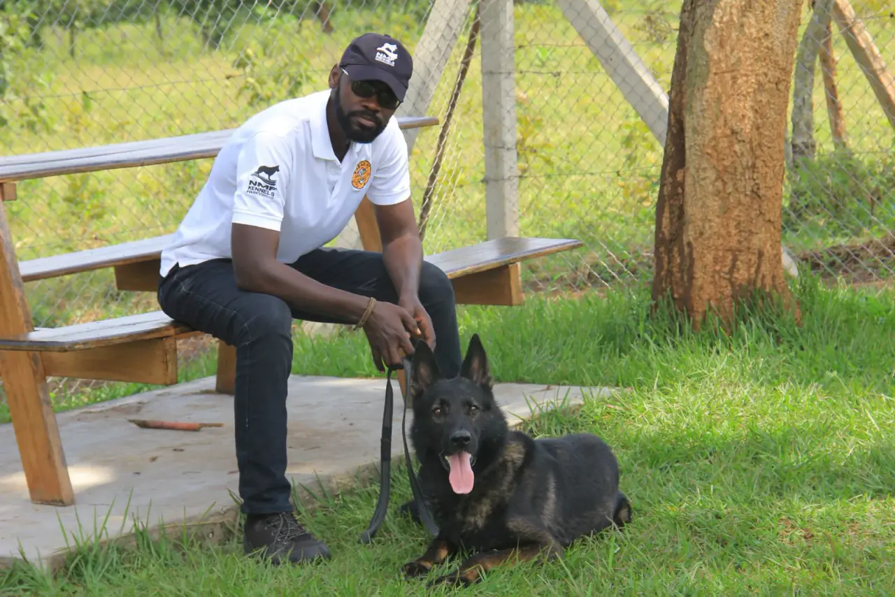 Working & protection dogs · NMF Kennels