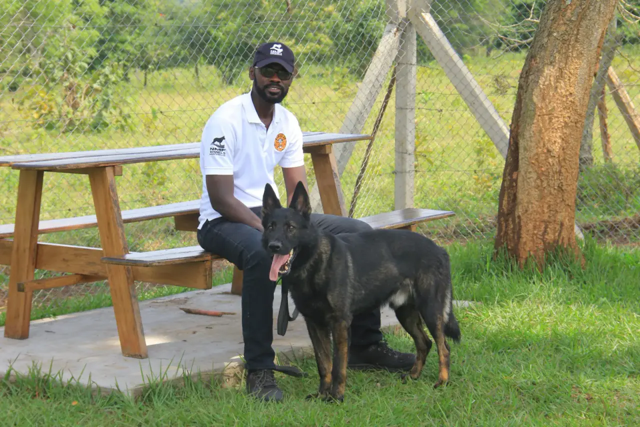 Working & protection dogs · NMF Kennels