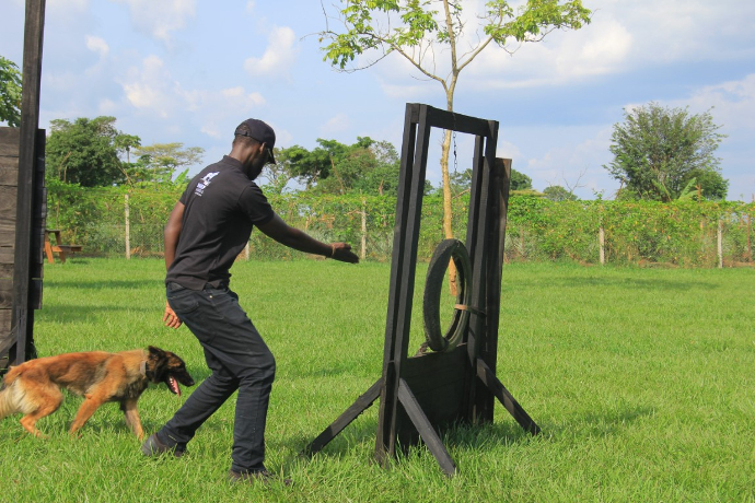Protection & Bite Sleeve Training