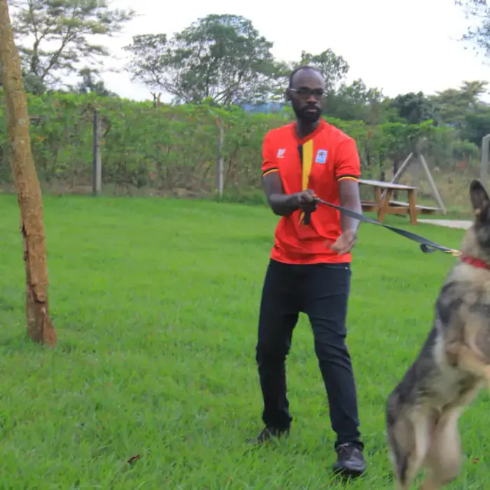 Working & protection dogs · NMF Kennels