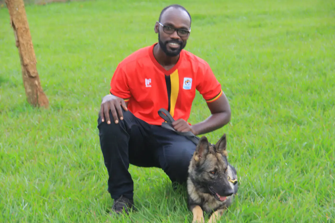 A working dog at NMF Kennels