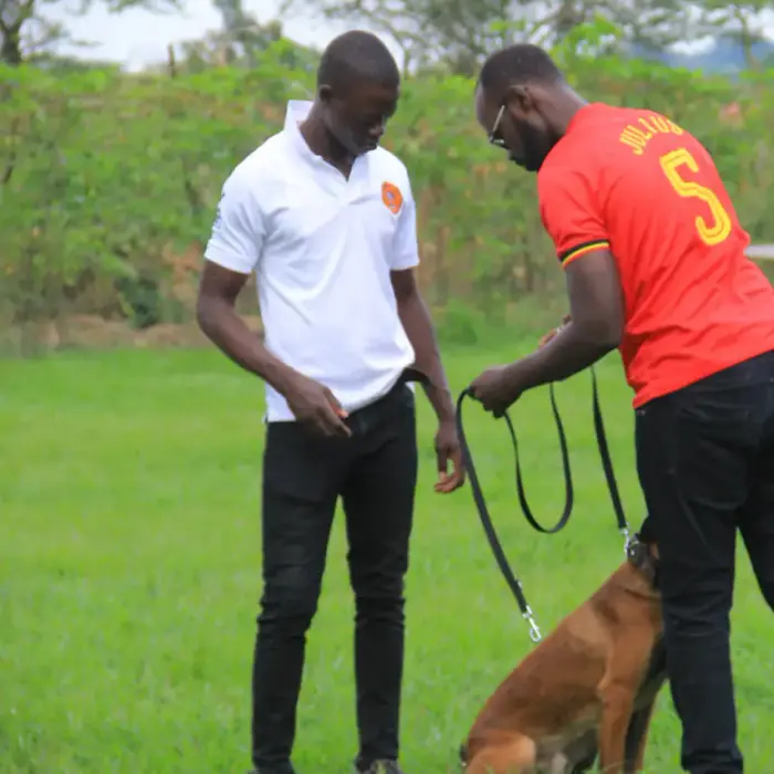 Working & protection dogs · NMF Kennels