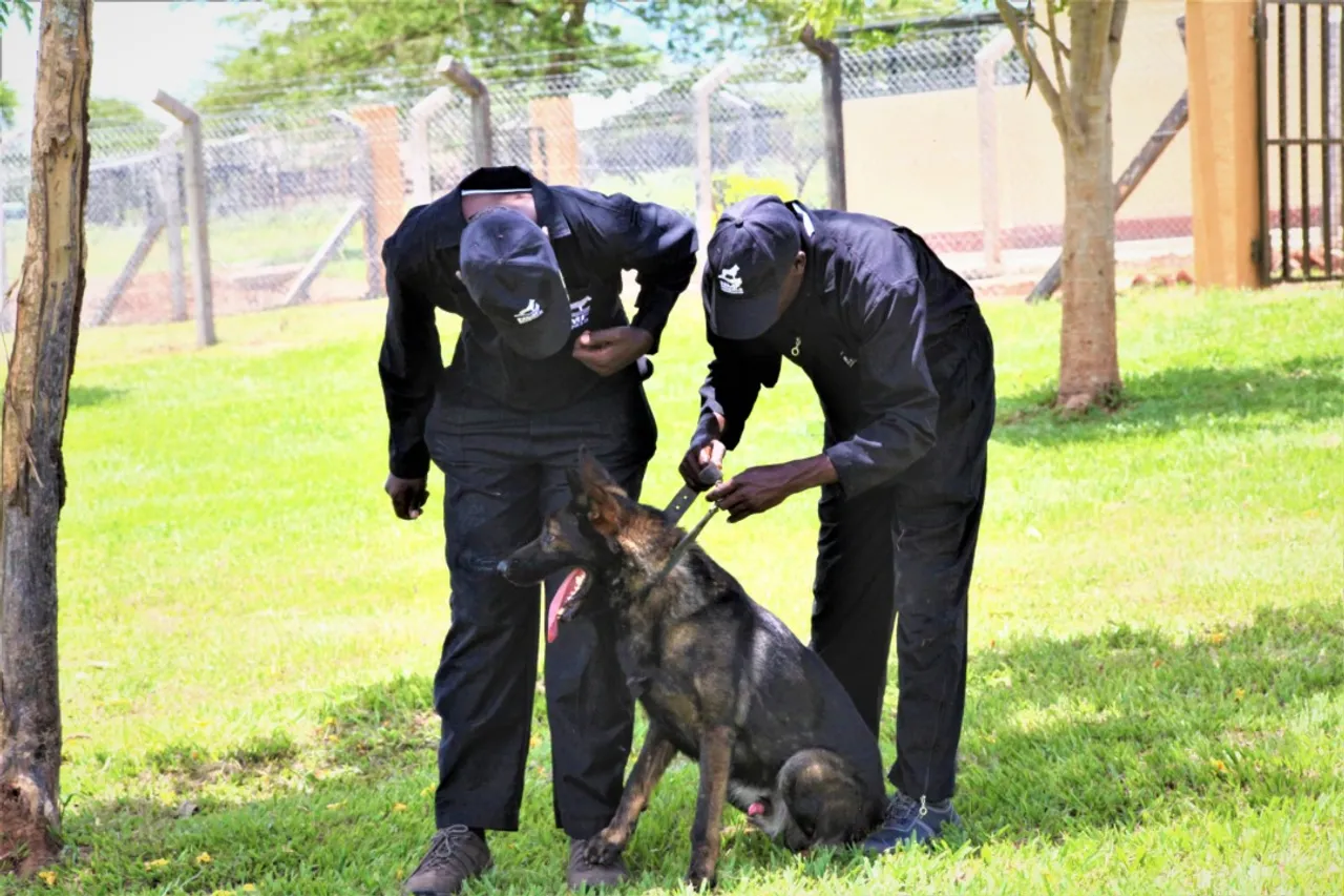 Protection Training
