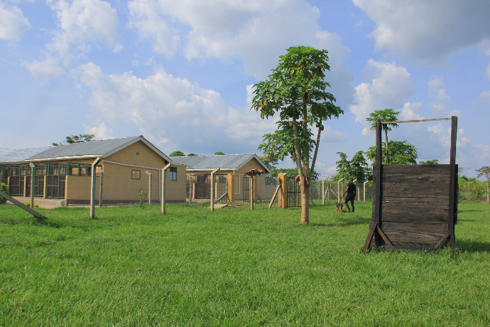 NMF Kennels Dog Training Grounds at Kyankwanzi