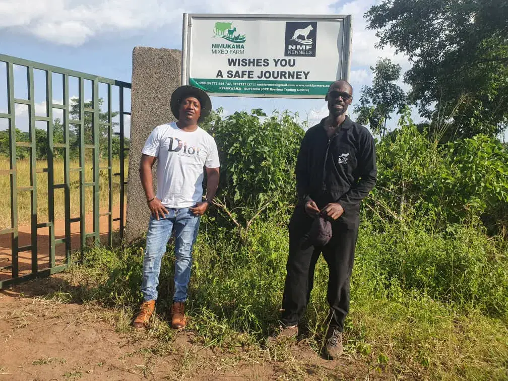 Open days & farm visits · Kyankwanzi